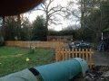 Picture-010